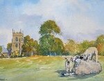 Sheep - watercolour