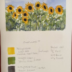 Sunflowers