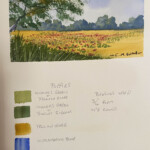 Poppies