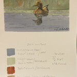 Duck on a Pond (Landscape)